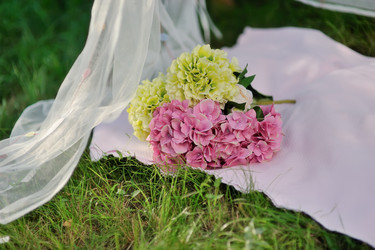 Similar image 2919454