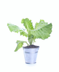 Similar image 2919491