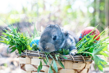 Similar image 2919509