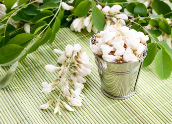 Similar image 2919511