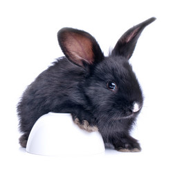 Similar image 2919512