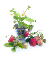 Similar image 2919516