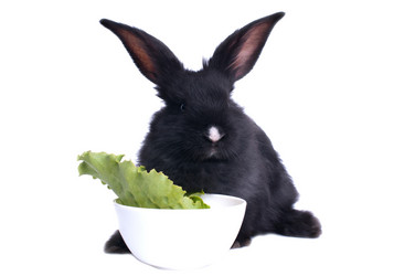 Similar image 2919518