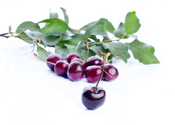 Similar image 2919521