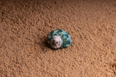 Similar image 2919529