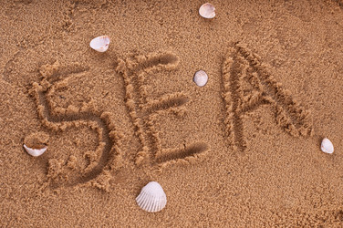 Similar image 2919531