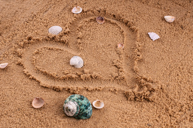 Similar image 2919532