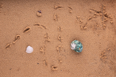 Similar image 2919547