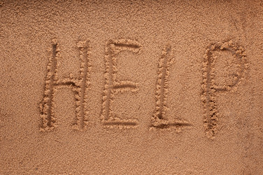 Similar image 2919556