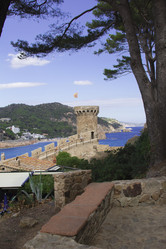 Similar image 2919568