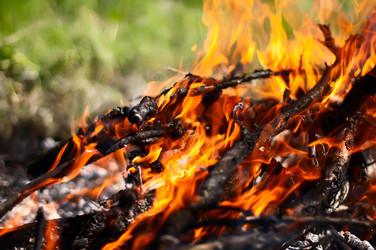 Similar image 2919575