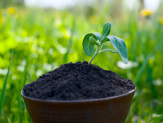 Similar image 2919576