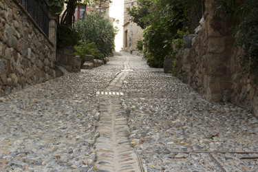 Similar image 2919606