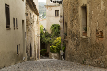 Similar image 2919607