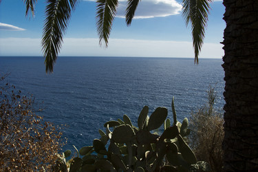 Similar image 2919610