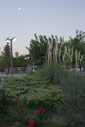 Similar image 2919624