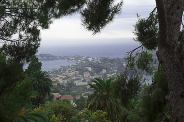 Similar image 2919638