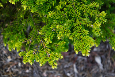 Similar image 2919639