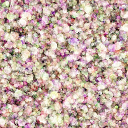 Similar image 2919704