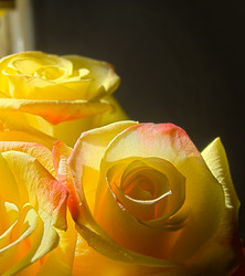 Similar image 2919722