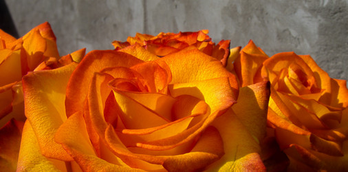 Similar image 2919742