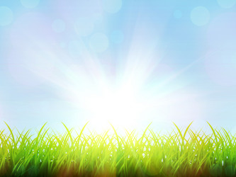 Similar image 2919743