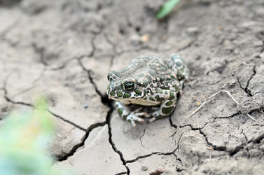 Similar image 2919859