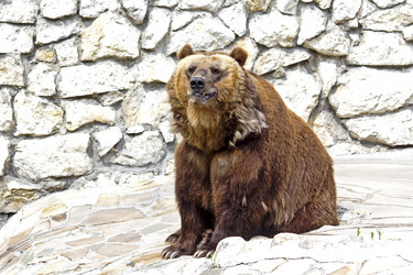 Similar image 2919880