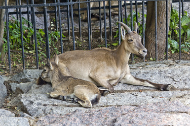 Similar image 2919881