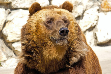 Similar image 2919882