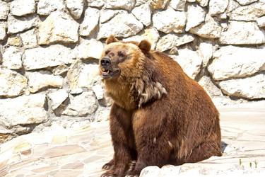 Similar image 2919883