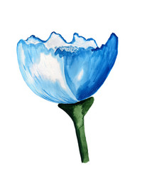 Similar image 2919886