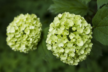 Similar image 2919900