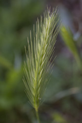 Similar image 2919902