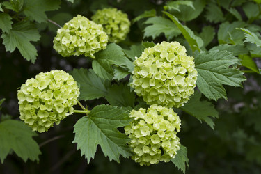 Similar image 2919905