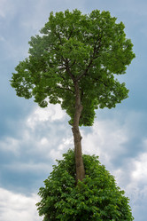 Similar image 2919906