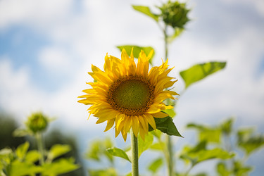 Similar image 2919911