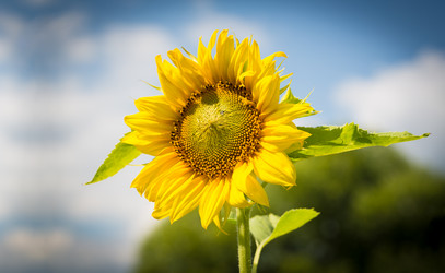 Similar image 2919912