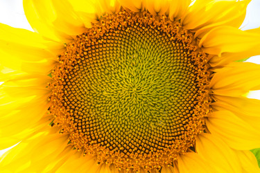 Similar image 2919915