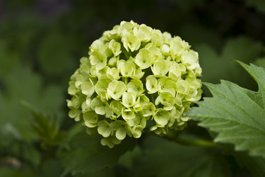 Similar image 2919919