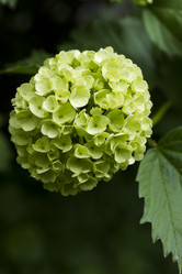 Similar image 2919921