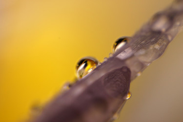 Similar image 2919971