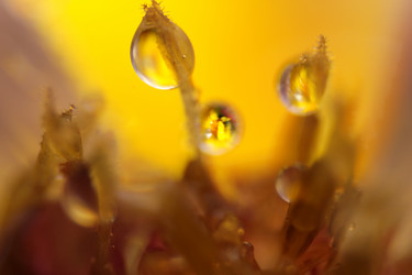 Similar image 2919972