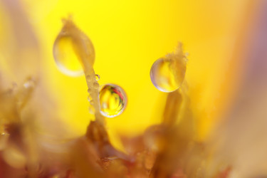 Similar image 2919973