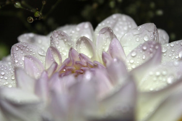 Similar image 2919975