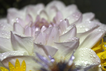 Similar image 2919976