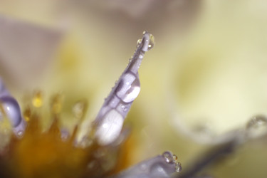 Similar image 2919978