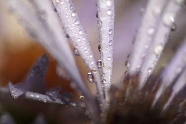 Similar image 2919980