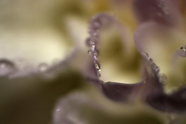 Similar image 2919981