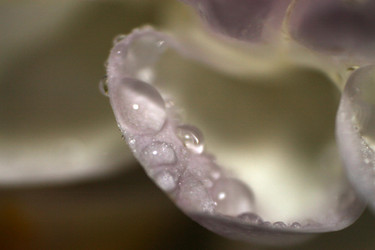 Similar image 2919982